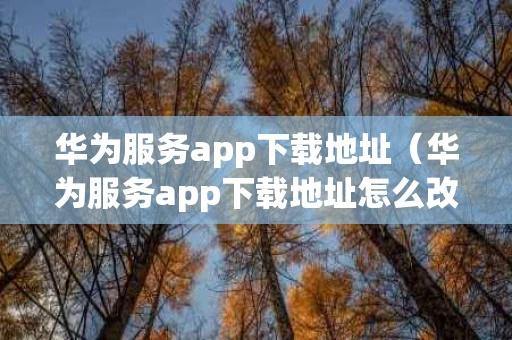 华为服务app下载地址（华为服务app下载地址怎么改）