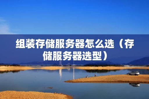 组装存储服务器怎么选（存储服务器选型）