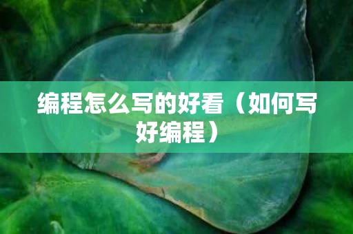 编程怎么写的好看（如何写好编程）