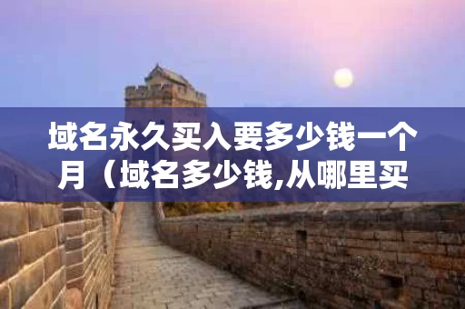 域名永久买入要多少钱一个月（域名多少钱,从哪里买）