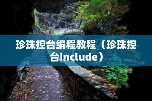 珍珠控台编程教程（珍珠控台include）