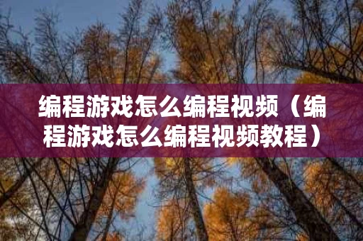 编程游戏怎么编程视频（编程游戏怎么编程视频教程）