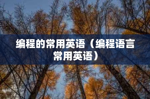 编程的常用英语（编程语言常用英语）