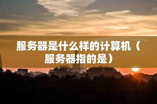 服务器是什么样的计算机（服务器指的是）