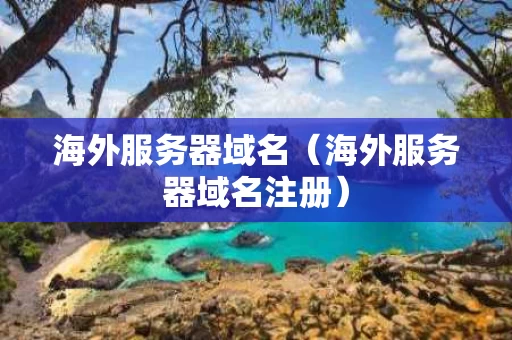 海外服务器域名（海外服务器域名注册）
