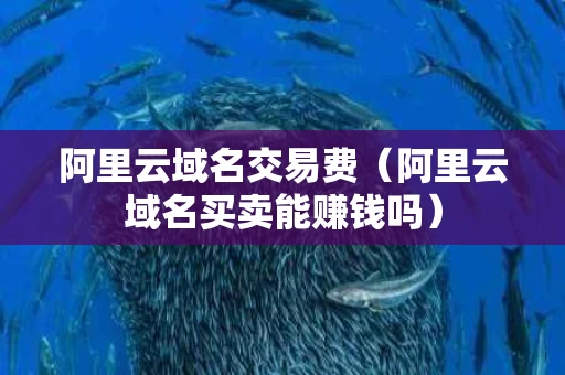 阿里云域名交易费（阿里云域名买卖能赚钱吗）
