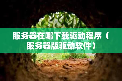 服务器在哪下载驱动程序（服务器版驱动软件）
