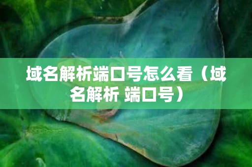 域名解析端口号怎么看（域名解析 端口号）
