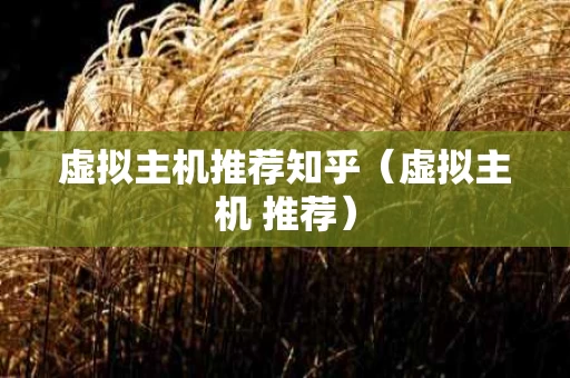 虚拟主机推荐知乎（虚拟主机 推荐）