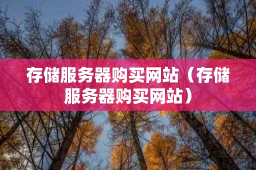 存储服务器购买网站（存储服务器购买网站）