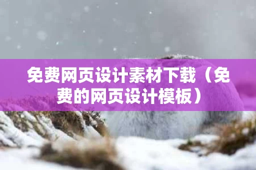 免费网页设计素材下载（免费的网页设计模板）
