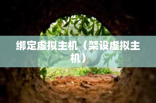绑定虚拟主机（架设虚拟主机）