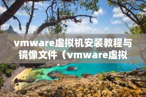 vmware虚拟机安装教程与镜像文件（vmware虚拟机怎么安装镜像）