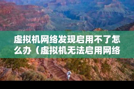 虚拟机网络发现启用不了怎么办（虚拟机无法启用网络发现）