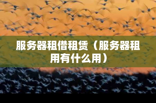 服务器租借租赁（服务器租用有什么用）