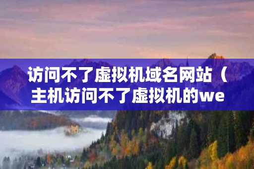 访问不了虚拟机域名网站（主机访问不了虚拟机的web服务器）