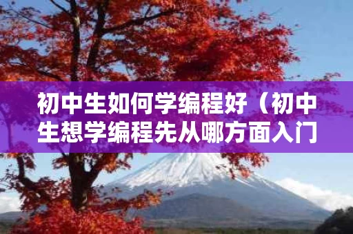 初中生如何学编程好（初中生想学编程先从哪方面入门）