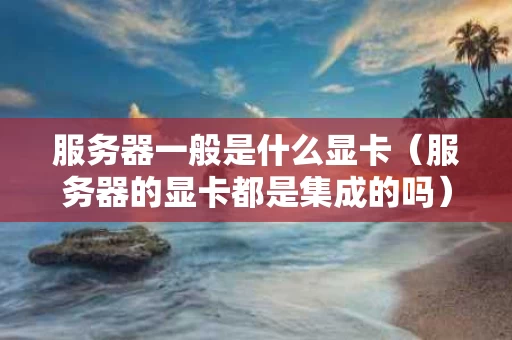 服务器一般是什么显卡（服务器的显卡都是集成的吗）
