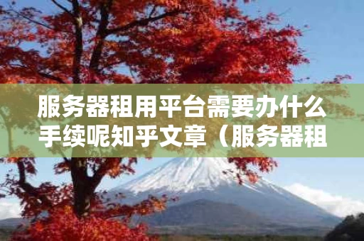 服务器租用平台需要办什么手续呢知乎文章（服务器租用什么平台好）