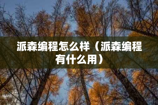 派森编程怎么样（派森编程有什么用）