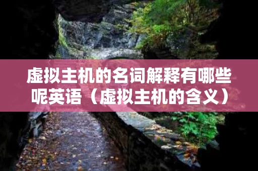 虚拟主机的名词解释有哪些呢英语（虚拟主机的含义）