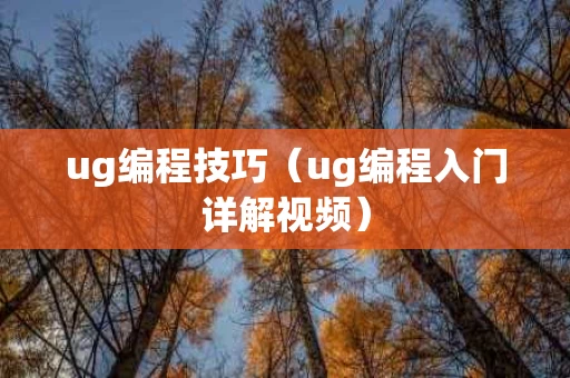 ug编程技巧（ug编程入门详解视频）