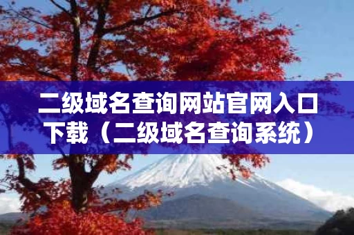 二级域名查询网站官网入口下载（二级域名查询系统）