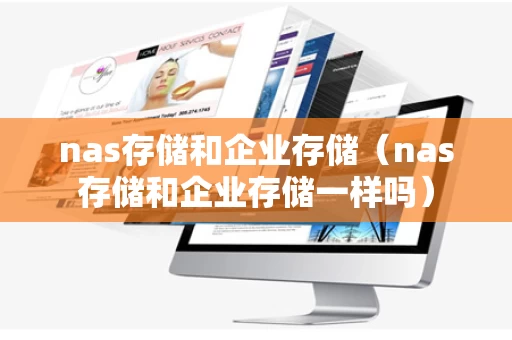 nas存储和企业存储（nas存储和企业存储一样吗）