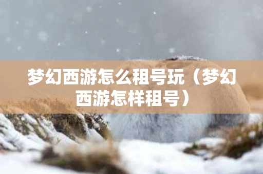 梦幻西游怎么租号玩（梦幻西游怎样租号）