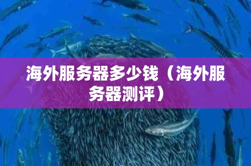 海外服务器多少钱（海外服务器测评）