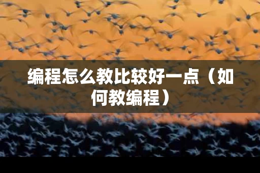 编程怎么教比较好一点（如何教编程）