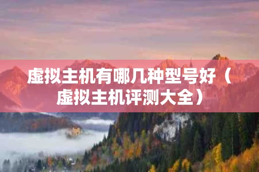 虚拟主机有哪几种型号好（虚拟主机评测大全）