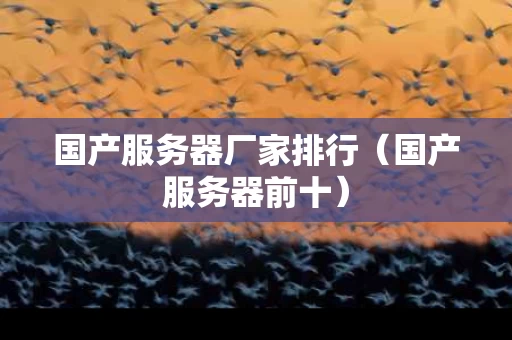 国产服务器厂家排行（国产服务器前十）