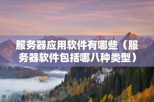 服务器应用软件有哪些（服务器软件包括哪八种类型）