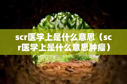 scr医学上是什么意思（scr医学上是什么意思肿瘤）