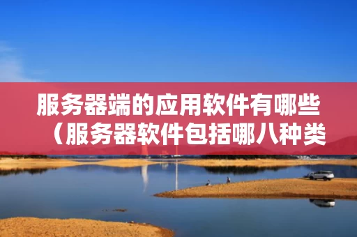服务器端的应用软件有哪些（服务器软件包括哪八种类型）