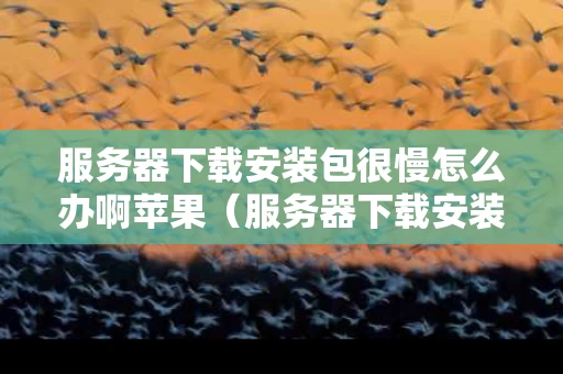 服务器下载安装包很慢怎么办啊苹果（服务器下载安装包很慢怎么办啊苹果手机）