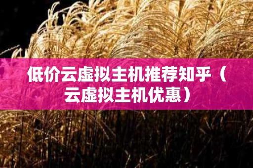 低价云虚拟主机推荐知乎（云虚拟主机优惠）
