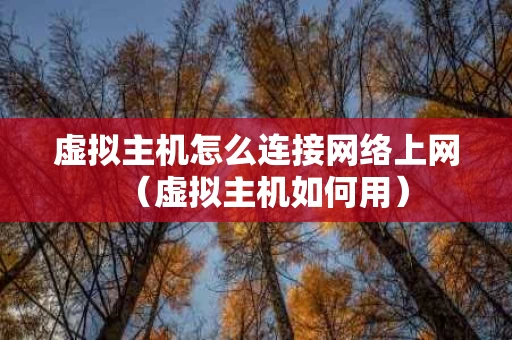 虚拟主机怎么连接网络上网（虚拟主机如何用）