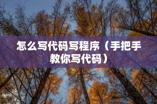 怎么写代码写程序（手把手教你写代码）