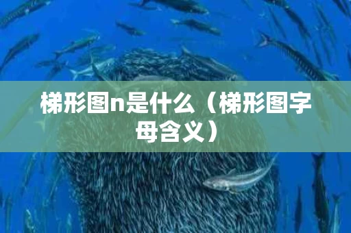 梯形图n是什么（梯形图字母含义）