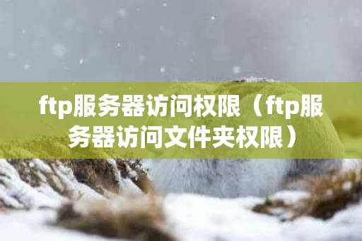 ftp服务器访问权限（ftp服务器访问文件夹权限）