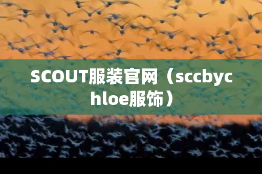 SCOUT服装官网（sccbychloe服饰）