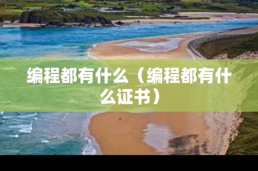 编程都有什么（编程都有什么证书）