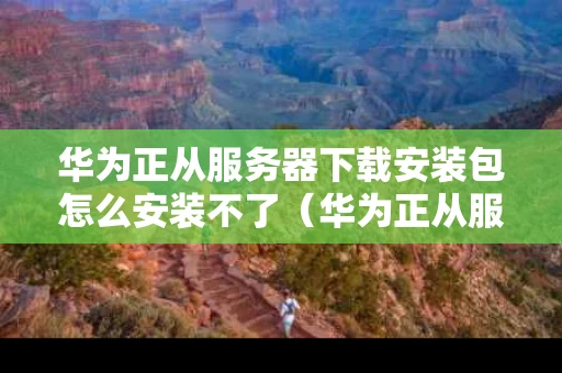 华为正从服务器下载安装包怎么安装不了（华为正从服务器下载安装包怎么安装不了了）