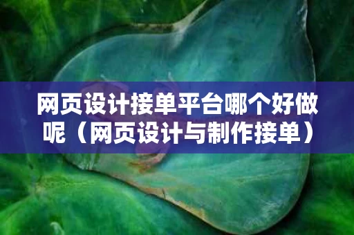 网页设计接单平台哪个好做呢（网页设计与制作接单）