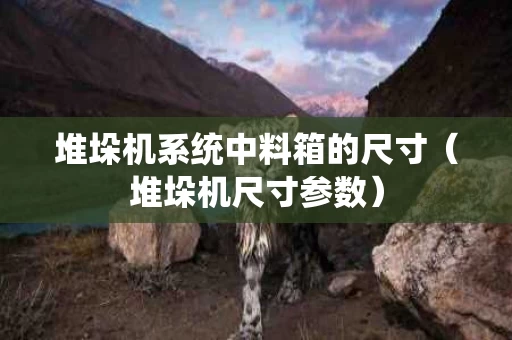 堆垛机系统中料箱的尺寸（堆垛机尺寸参数）