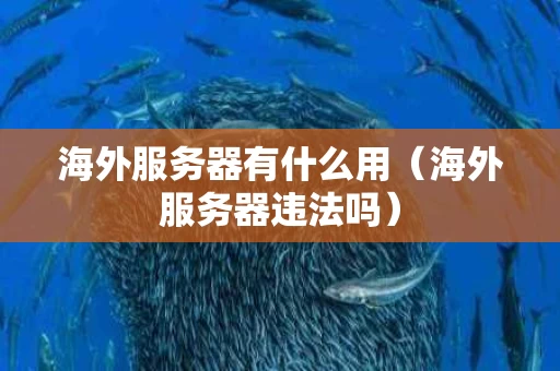 海外服务器有什么用（海外服务器违法吗）
