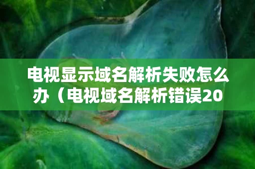 电视显示域名解析失败怎么办（电视域名解析错误207怎么办）