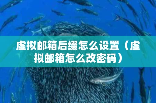 虚拟邮箱后缀怎么设置（虚拟邮箱怎么改密码）